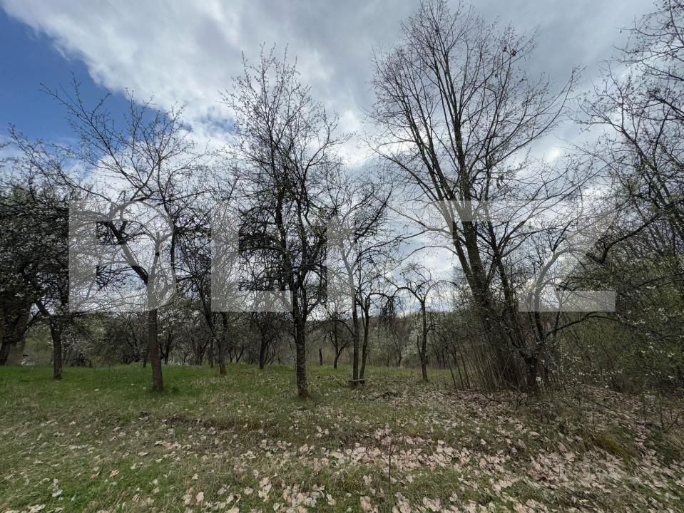 Casa de vânzare 2 camere Hunedoara - 168600CV | BLITZ Deva | Poza2