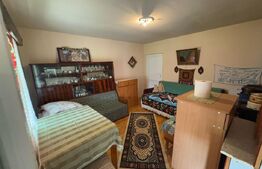 Vand casa cu 2 camere, in Valea Bradului