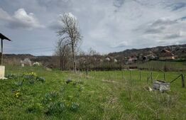 Vand casa cu 2 camere, in Valea Bradului