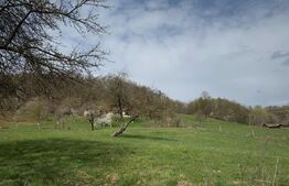 Vand casa cu 2 camere, in Valea Bradului
