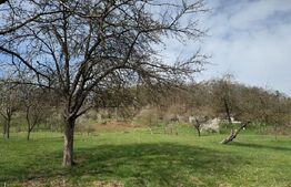 Vand casa cu 2 camere, in Valea Bradului