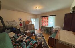 Vand casa cu 2 camere, in Valea Bradului