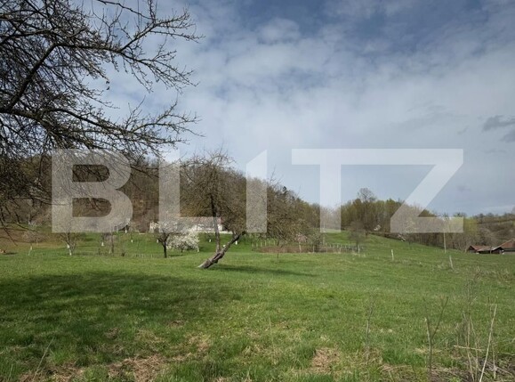 Casa de vânzare 2 camere Periferie - 168602CV | BLITZ Deva | Poza10