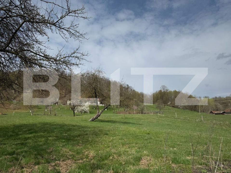 Casa de vânzare 2 camere Periferie - 168602CV | BLITZ Deva | Poza10