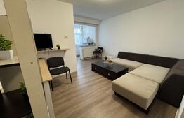 Garsonieră de vanzare, 24 mp, zona Calea Zarandului