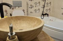 CASĂ CU VEDERE CĂTRE CASTELUL CORVINILOR – EXCLUSIVITATE BLITZ – COMISION 0%