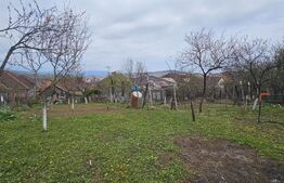 CASĂ CU VEDERE CĂTRE CASTELUL CORVINILOR – EXCLUSIVITATE BLITZ – COMISION 0%