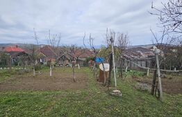 CASĂ CU VEDERE CĂTRE CASTELUL CORVINILOR – EXCLUSIVITATE BLITZ – COMISION 0%