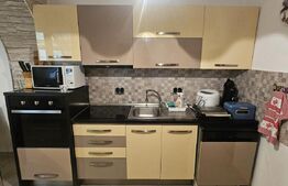 CASĂ CU VEDERE CĂTRE CASTELUL CORVINILOR – EXCLUSIVITATE BLITZ – COMISION 0%