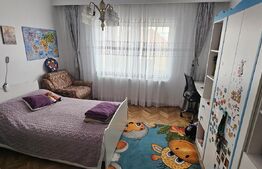 CASĂ CU VEDERE CĂTRE CASTELUL CORVINILOR – EXCLUSIVITATE BLITZ – COMISION 0%