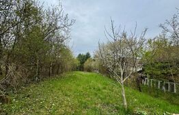 Teren intravilan de vanzare, 960 mp, zona Geoagiu-Băi