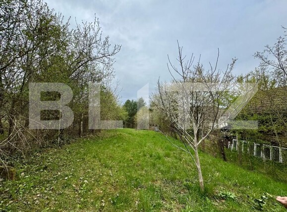 Teren de vânzare Periferie - 169065TV | BLITZ Deva | Poza1