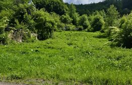 Teren intravilan de vanzare, 1609 mp, zona Petrești 