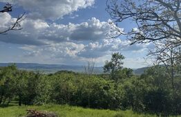 Teren intravilan de vanzare, 15080 mp, zona Tătărăști 