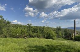 Teren intravilan de vanzare, 15080 mp, zona Tătărăști 