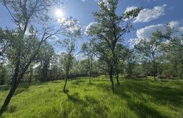 Teren intravilan de vanzare, 15080 mp, zona Tătărăști 