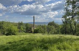 Teren intravilan de vanzare, 15080 mp, zona Tătărăști 