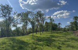 Teren intravilan de vanzare, 15080 mp, zona Tătărăști 