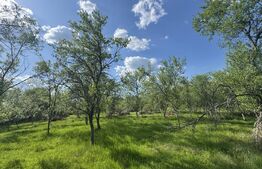 Teren intravilan de vanzare, 15080 mp, zona Tătărăști 