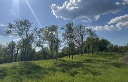 Teren intravilan de vanzare, 15080 mp, zona Tătărăști 