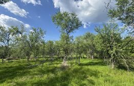 Teren intravilan de vanzare, 15080 mp, zona Tătărăști 