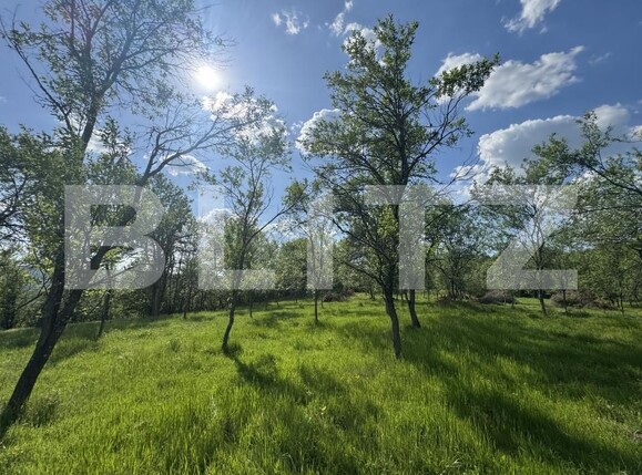 Teren de vânzare Periferie - 169727TV | BLITZ Deva | Poza6