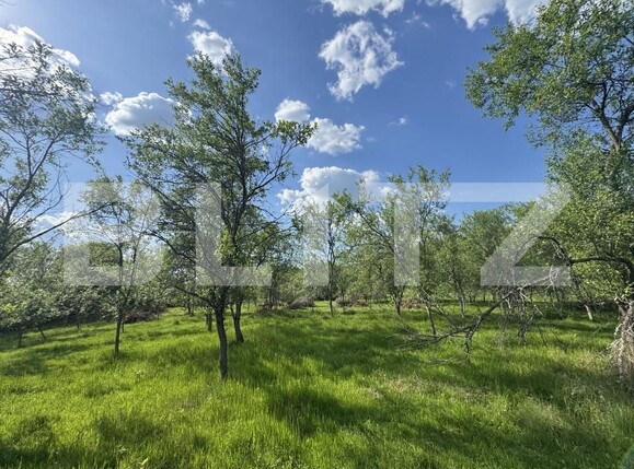 Teren de vânzare Periferie - 169727TV | BLITZ Deva | Poza5