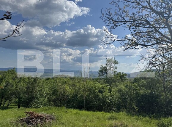 Teren de vânzare Periferie - 169727TV | BLITZ Deva | Poza3