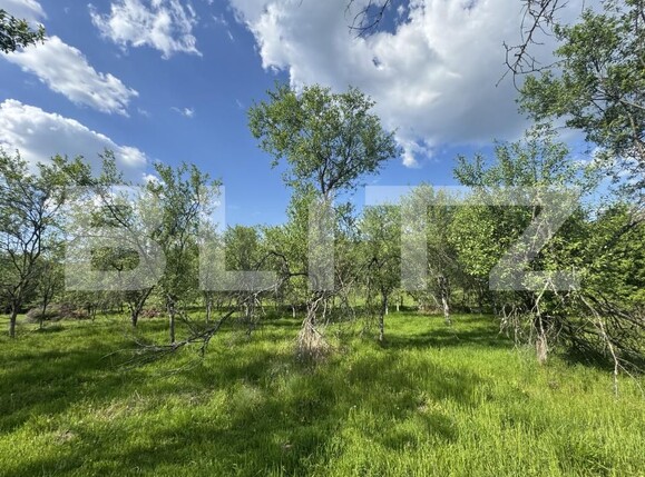 Teren de vânzare Periferie - 169727TV | BLITZ Deva | Poza4