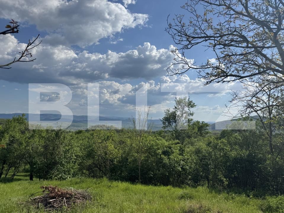 Teren de vânzare Periferie - 169727TV | BLITZ Deva | Poza3