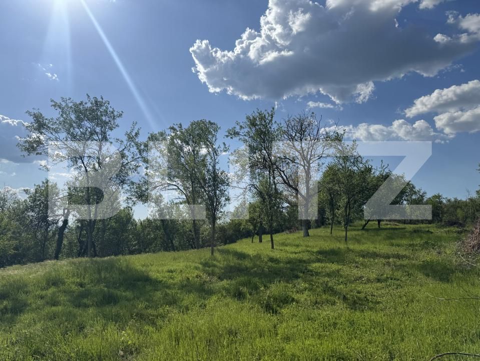 Teren de vânzare Periferie - 169727TV | BLITZ Deva | Poza2