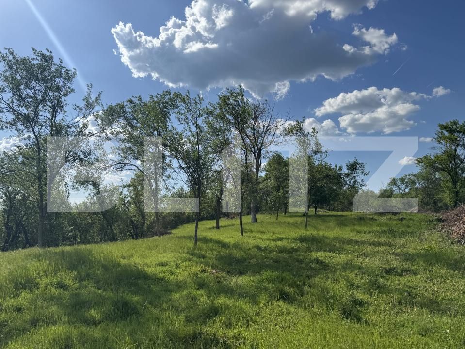 Teren de vânzare Periferie - 169727TV | BLITZ Deva | Poza8