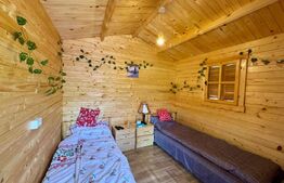 Cabane de vanzare, cu 3 camere, 50 mp, zona Brad