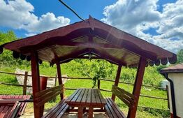 Cabane de vanzare, cu 3 camere, 50 mp, zona Brad