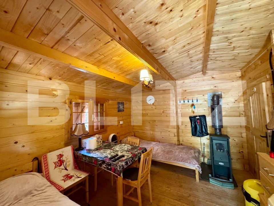 Casa de vânzare 3 camere Brad - 170316CV | BLITZ Deva | Poza5