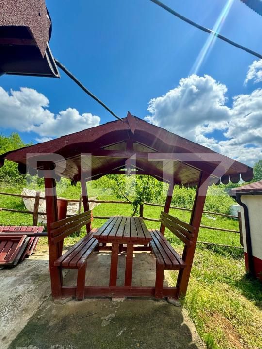 Casa de vânzare 3 camere Brad - 170316CV | BLITZ Deva | Poza9