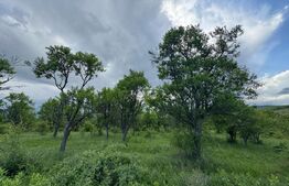 Teren extravilan de vanzare, 5305 mp, in apropiere de Hațeg