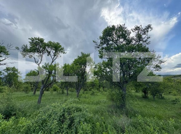 Teren de vânzare Periferie - 170380TV | BLITZ Deva | Poza3