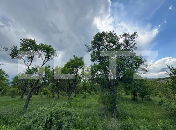 Teren de vânzare Periferie - 170380TV | BLITZ Deva | Poza2