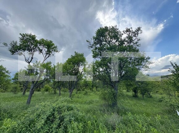 Teren de vânzare Periferie - 170380TV | BLITZ Deva | Poza1