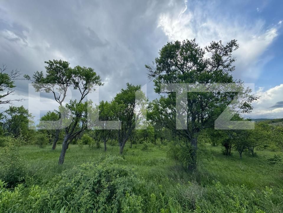 Teren de vânzare Periferie - 170380TV | BLITZ Deva | Poza3