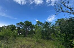 Teren extravilan de vanzare, 6000 mp, zona Hateg