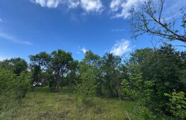 Teren extravilan de vanzare, 6000 mp, zona Hateg