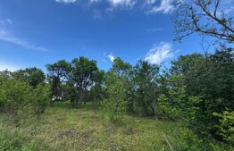 Teren extravilan de vanzare, 6000 mp, zona Hateg