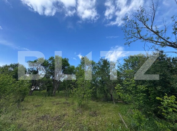 Teren de vânzare Periferie - 170381TV | BLITZ Deva | Poza2