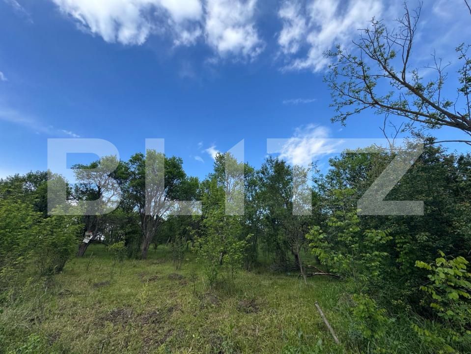 Teren de vânzare Periferie - 170381TV | BLITZ Deva | Poza2