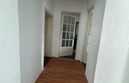 Casa de vanzare, cu 3 camere, 191 mp, la 3 km de Hațeg