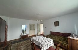 Casa de vanzare, cu 3 camere, 191 mp, la 3 km de Hațeg