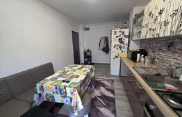 Apartament spațios cu 3 camere, zona Calea Zarandului, Deva