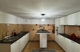 Casa de vanzare, cu 4 camere, 175 mp, în apropiere de Hațeg